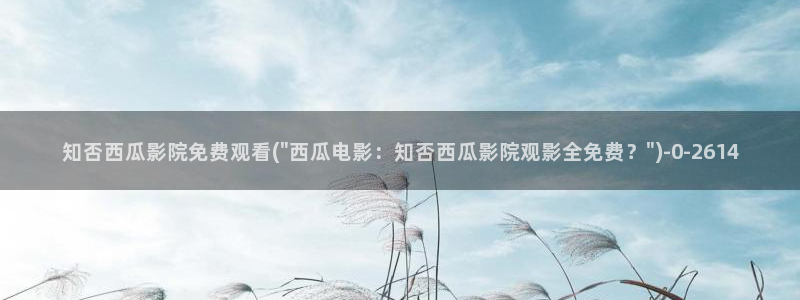 灵魂摆渡第一季西瓜影院