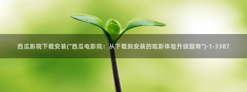 西瓜在线免费电影