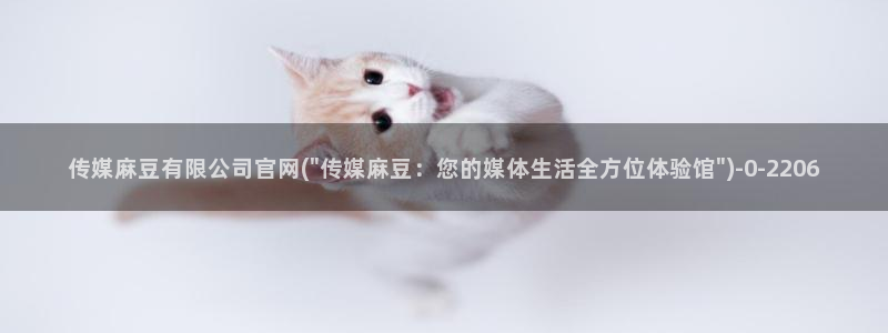 麻豆传媒视频