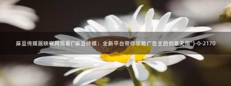 麻豆合集页