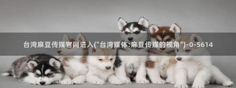 麻豆视频精准词