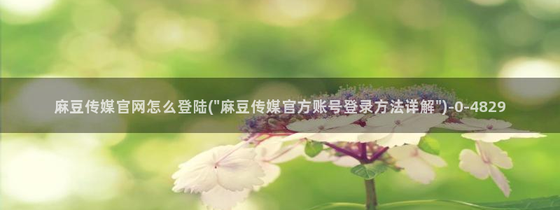 麻豆视频标签