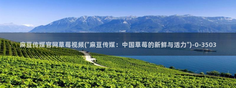麻豆视频关键词