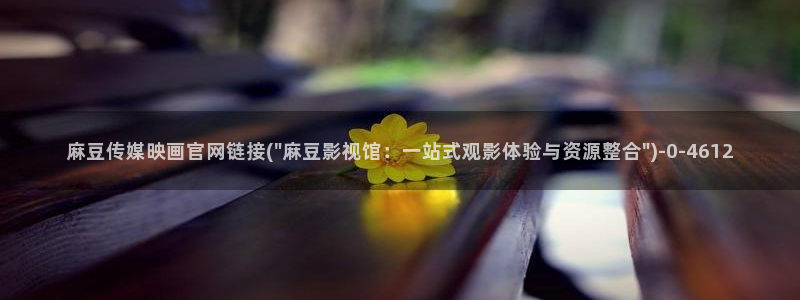 麻豆SEO关键词