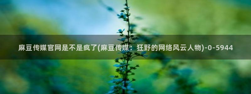 麻豆视频文章内容