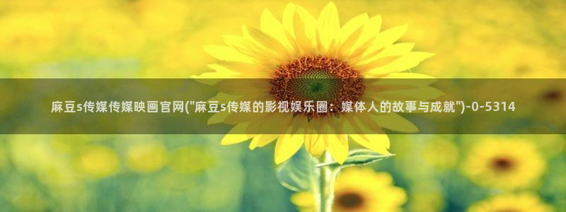 麻豆短片