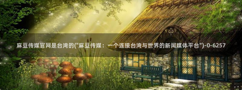 麻豆影视站