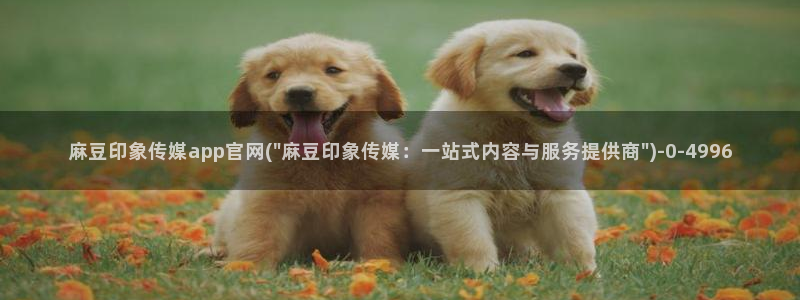 麻豆视频分类规则
