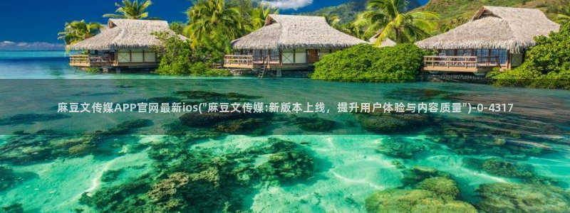 麻豆传媒在线观看