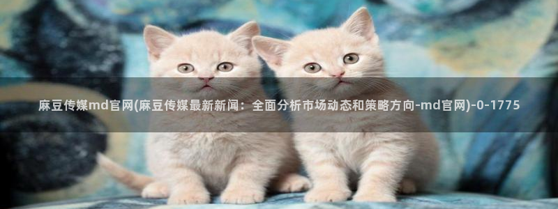 麻豆剧情描述