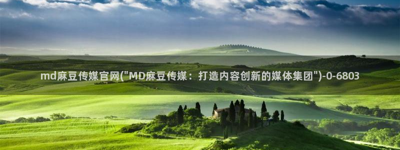 麻豆视频文章描述