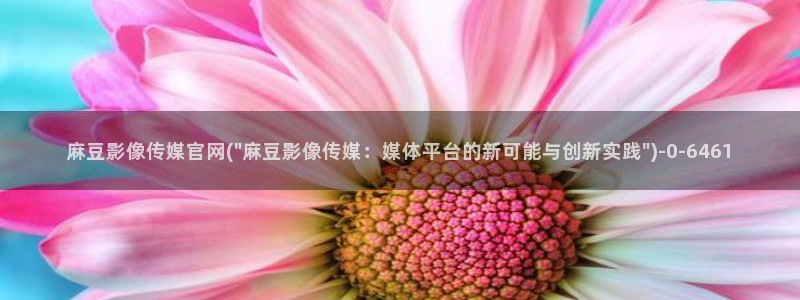 麻豆剧情解析