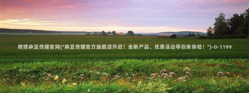麻豆视频排行文案