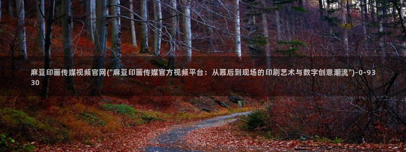 麻豆视频评分