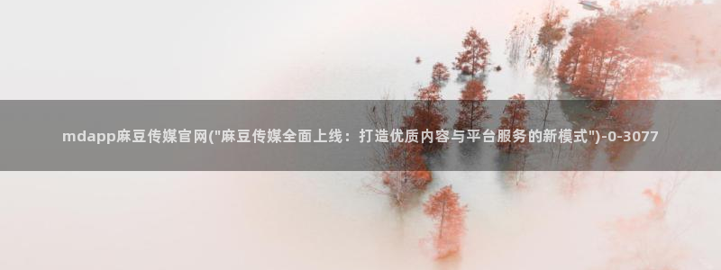 麻豆视频入口