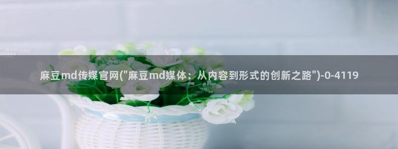 麻豆榜单描述