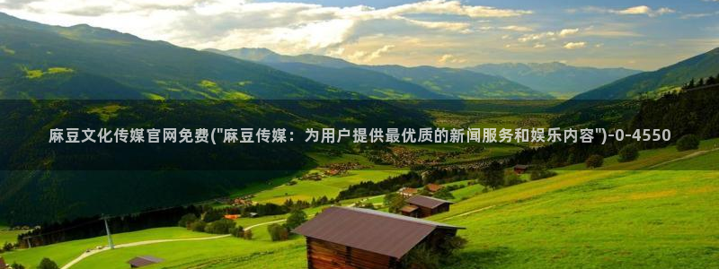 麻豆视频页面结构
