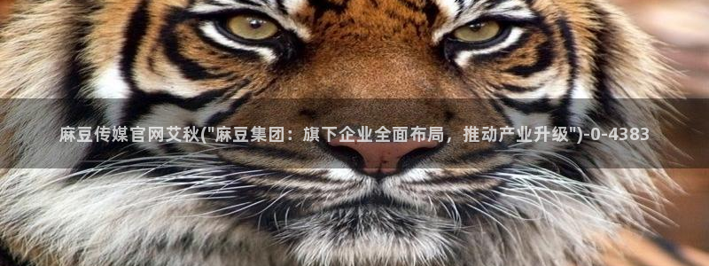 麻豆传媒新片