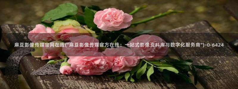 麻豆新人演员