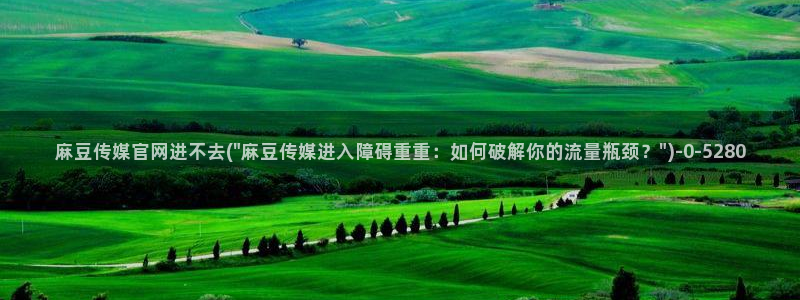 麻豆视频分类