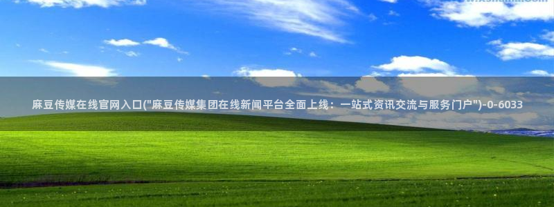 麻豆指南页：麻豆传媒在线官网入口(\