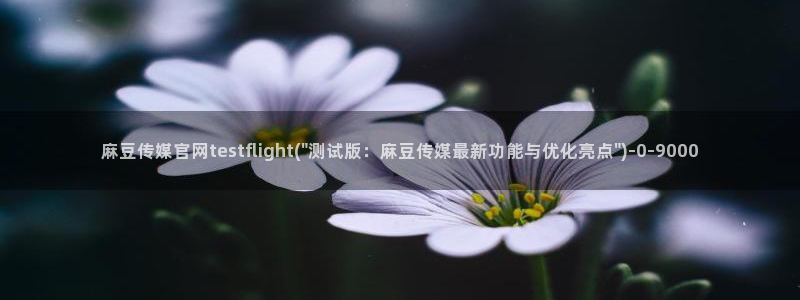 麻豆视频低竞争词