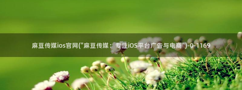 麻豆视频站关键词