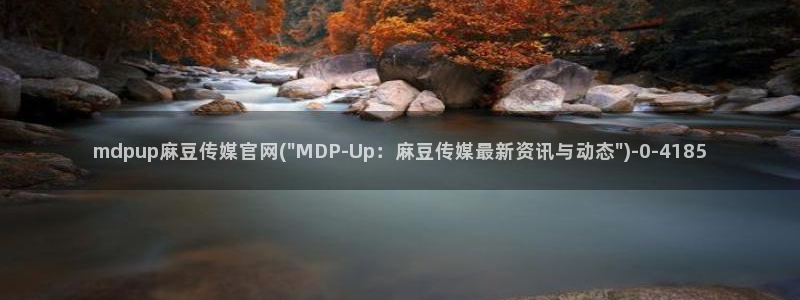 麻豆视频评分
