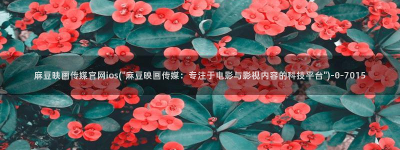 麻豆视频合集整理