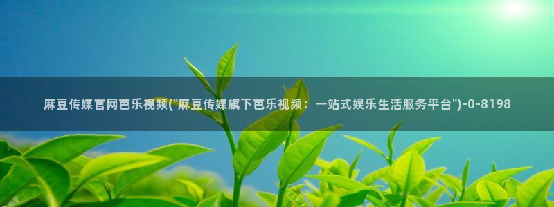 麻豆视频联系页面