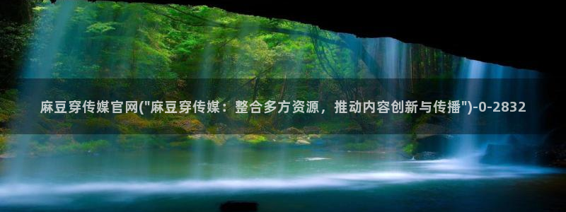 麻豆传媒在线观看