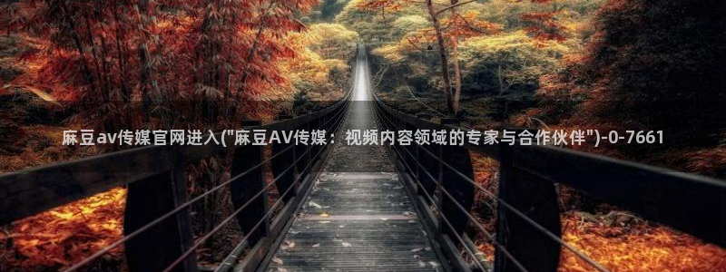 麻豆视频收藏