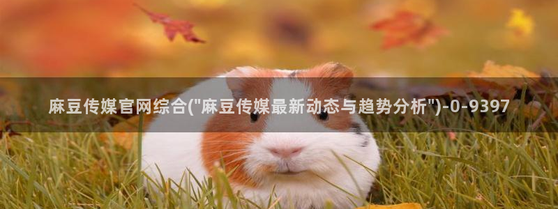 麻豆片单推荐