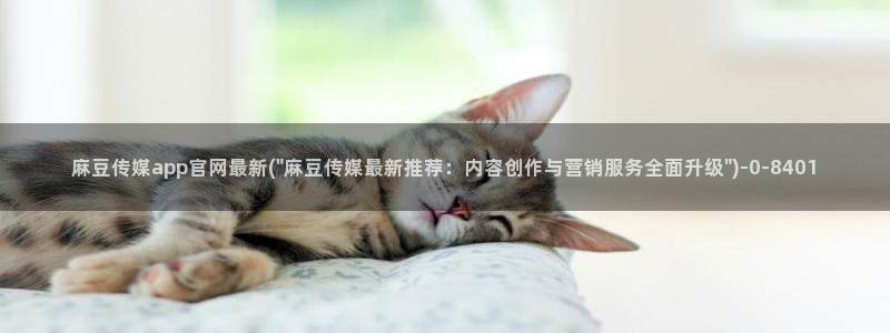 麻豆视频相关推荐