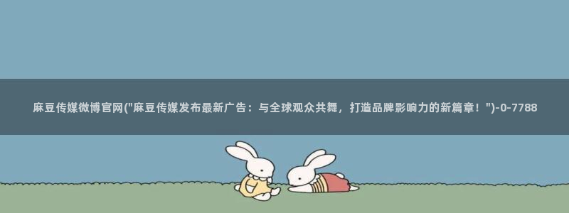 麻豆视频关于我们